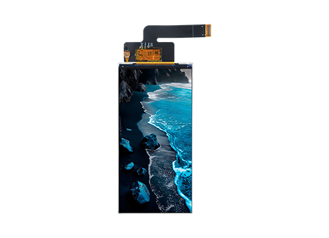 SBT060024A1