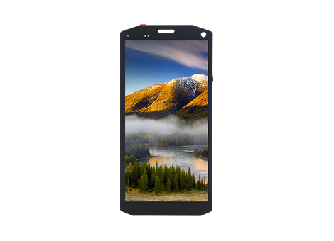 SBTC060011V2